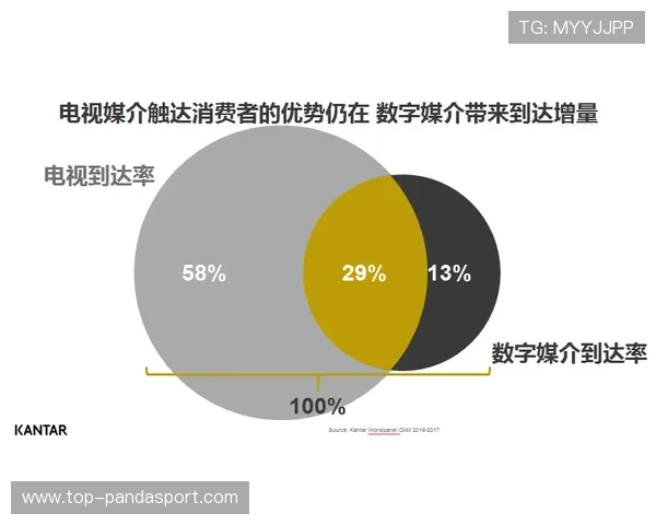 智慧洞察绿茵赛场趋势的全维足球数据分析平台