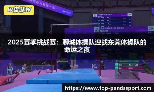 2025赛季挑战赛：聊城体操队迎战东莞体操队的命运之夜